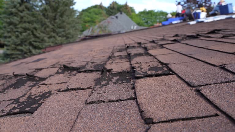 Best 4 Ply Roofing  in Belpre, OH